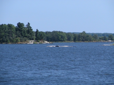 Kabetogama