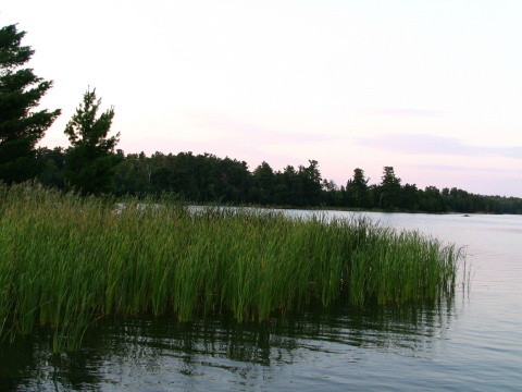 Kabetogama