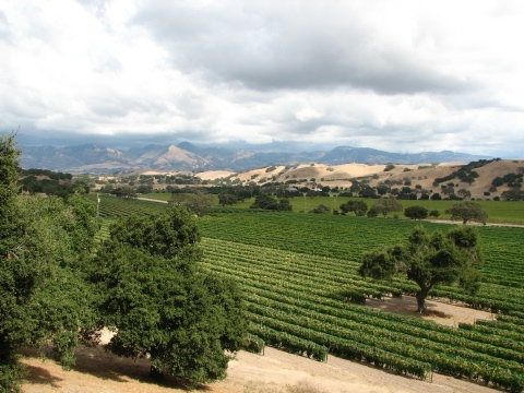 Foxen Canyon Road Wine Trail