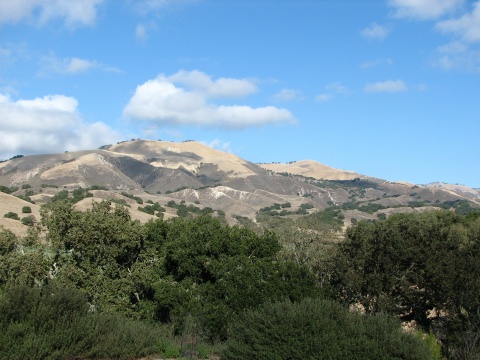 Foxen Canyon Road Wine Trail