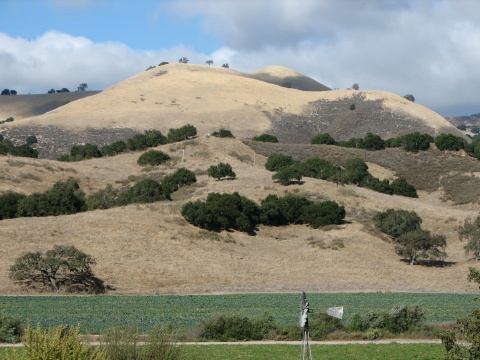 Foxen Canyon Road Wine Trail