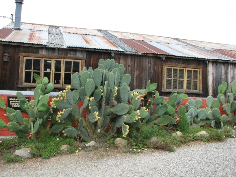 Santa Rita Hills Wine Trail