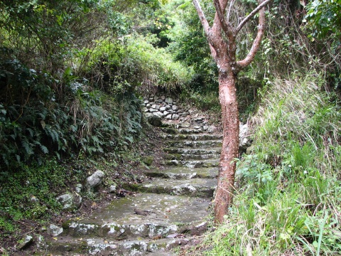 Saba - Mt. Scenery Trail