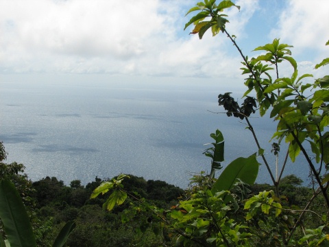 Saba - Mt. Scenery Trail