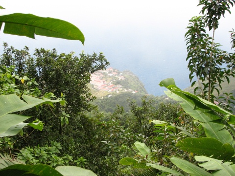 Saba - Mt. Scenery Trail