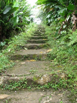 Saba - Mt. Scenery Trail