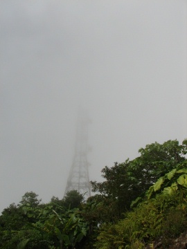Saba - Mt. Scenery Trail