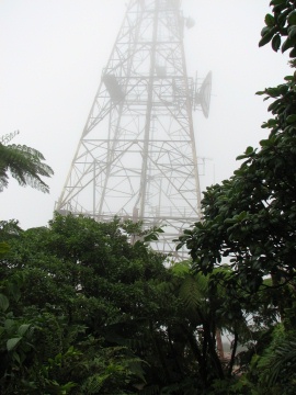 Saba - Mt. Scenery Trail