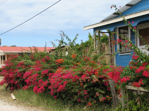 Barbados