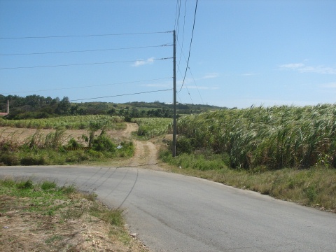 Barbados