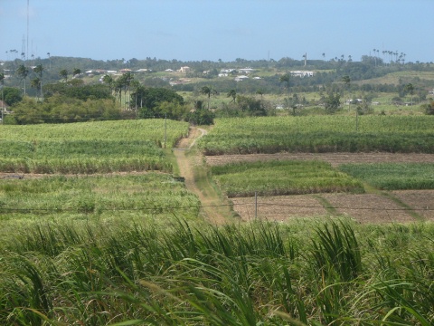 Barbados