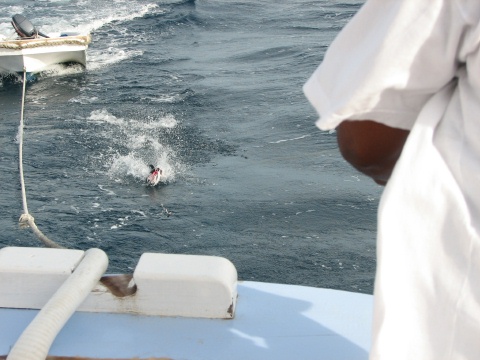 Sail to the Tobago Cays