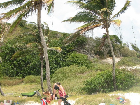 Tobago Cays