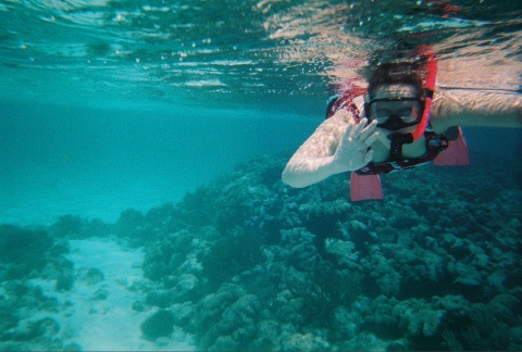 Tobago Cays