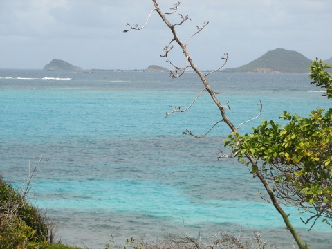 Tobago Cays