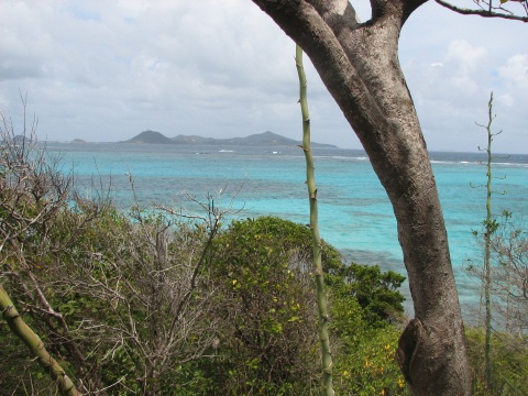 Tobago Cays