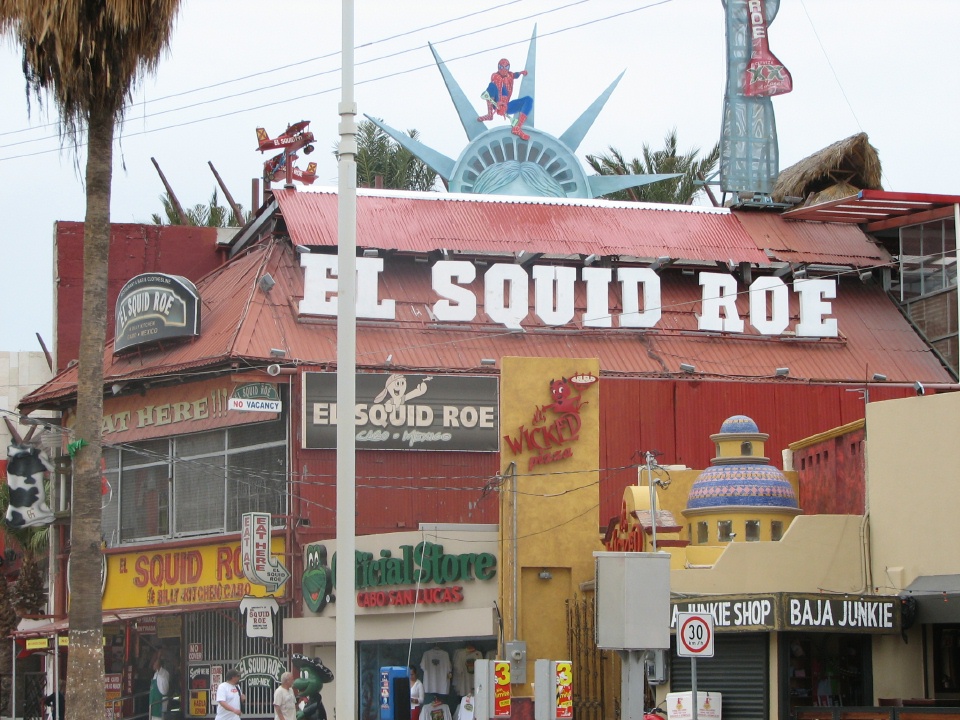 El Squid Roe nightclub