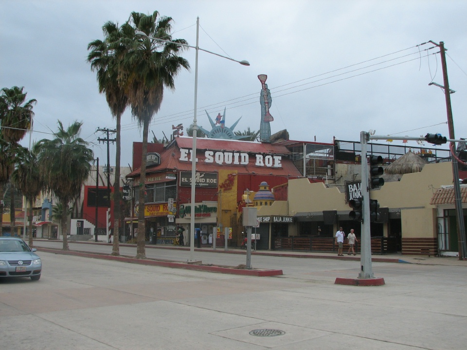 El Squid Roe nightclub