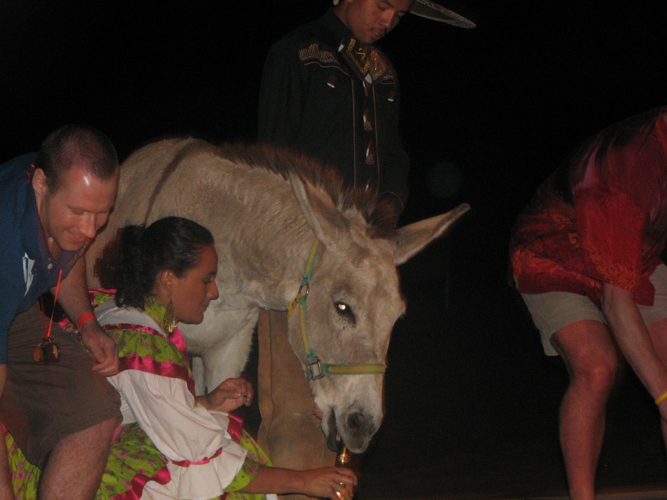 Mexican Fiesta - Drinking donkey