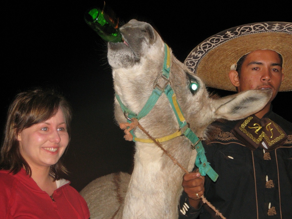 Mexican Fiesta - Drinking donkey