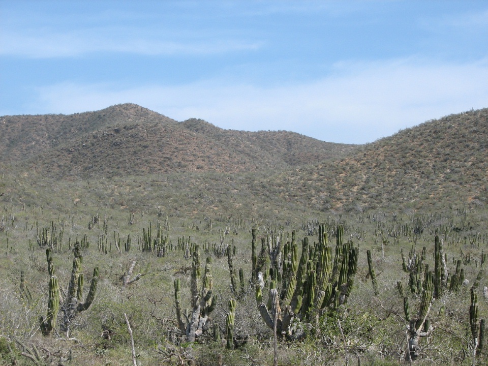 Road trip to Todos Santos