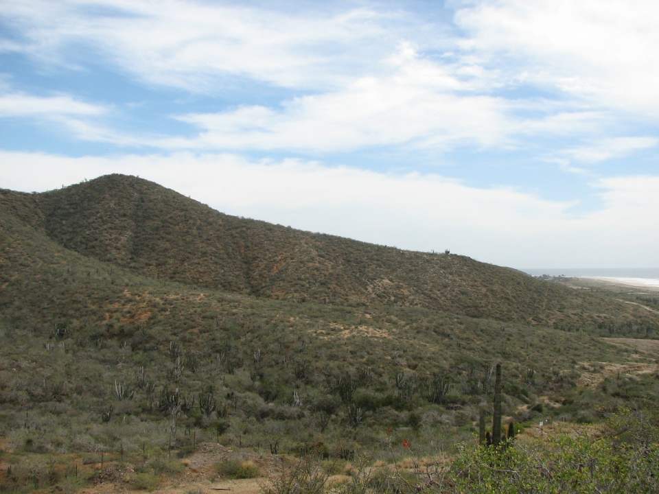 Road trip to Todos Santos