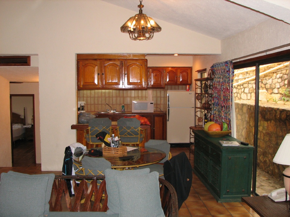 Living area and kitchen