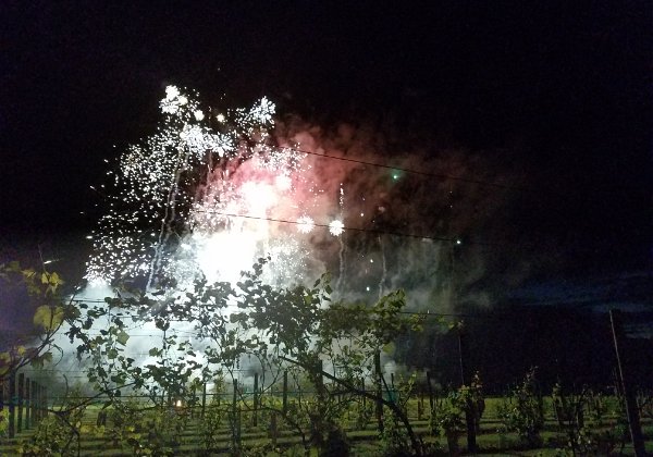 Vino in the Valley Dinner and fireworks at Vino in the Valley