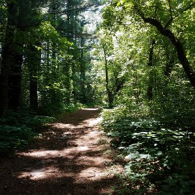 2018-06-22 14.46.31 Hike at Carleton College Cowling Arboretum