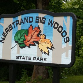 2018-06-23 12.43.29 Hike at Nerstrand Big Woods State Park