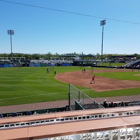 2018-03-13 11.58.34 Twins spring training game - left field