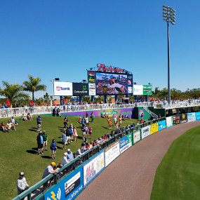 2018-03-13 11.59.58 Twins spring training game - left field