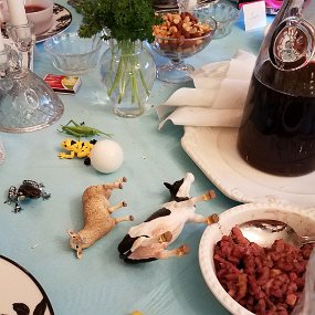 2019-04-23 19.36.52 During the Seder, participants shake a few drops of wine out of their cups for each of the ten plagues: blood, frogs, lice, wild beasts, cattle disease, boils,...