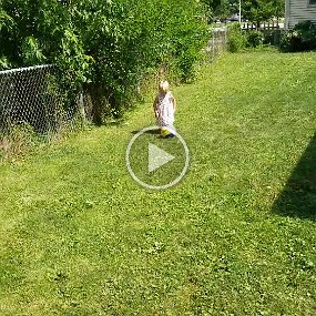 Soccer Video - kicking her soccer ball