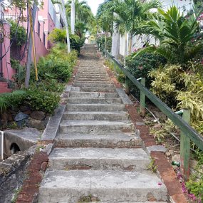 20210215_142846 Charlotte Amalie - 99 steps (actually 103)