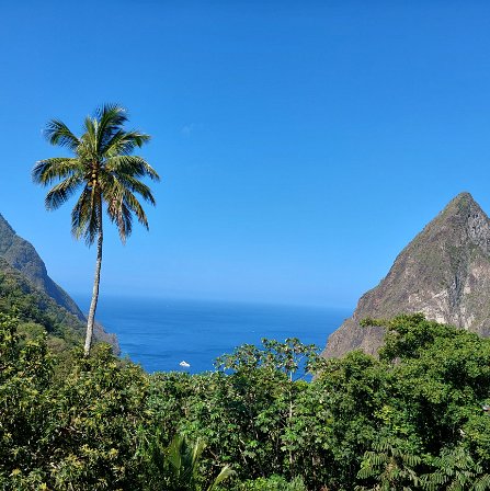 St. Lucia Winter vacation to St. Lucia. You can view our full trip report here: https://tinyurl.com/kram-lucia