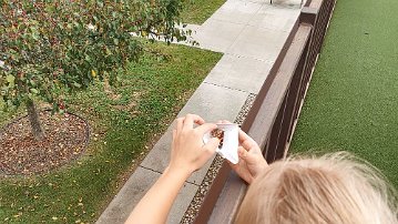 Butterfly release - 1 Butterfly release at Cedar Community - the butterfly is alive in the small envelope.