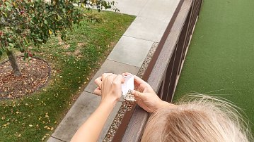 Butterfly release - 2 Butterfly release at Cedar Community - Lennon releases the butterfly