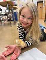 March 8 - 1 Baby chick at school