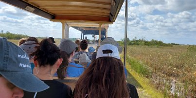 20240401_110037 Everglades National Park - tram tour