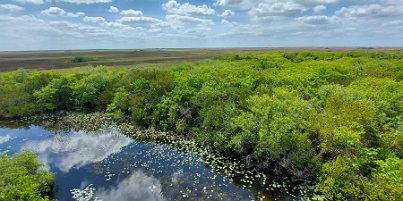 20240401_115632 Everglades National Park - view from the tower