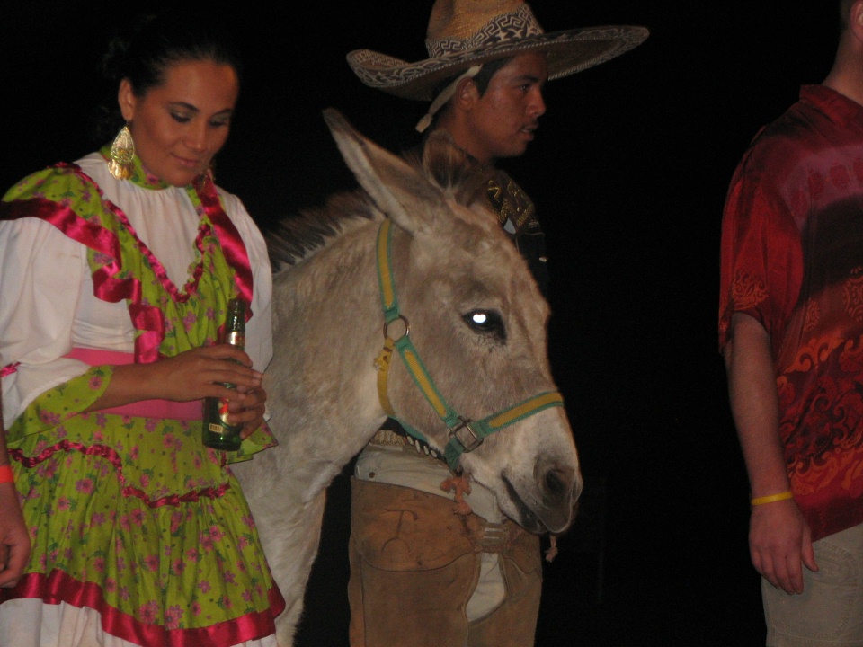 Mexican Fiesta - Drinking donkey