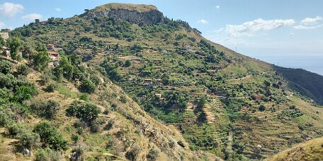 20250709_095317 null