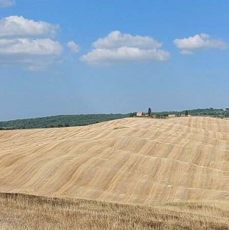 Tuscany Countryside