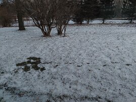 20260115_070529 null
